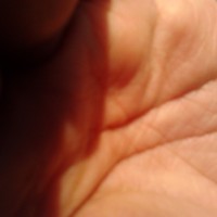 Портфолио cagri